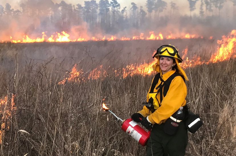 A woman wearing yellow fire retardant gear holds a red drip torch at a controlled burn. Lines of fire burn behind her in a stand of tall grass.