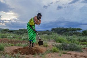 A woman plants grass seeds in a field.