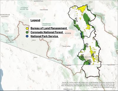 Map showing the Upper and Lower San Pedro Watershed.