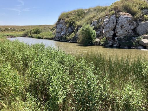 Introducing Sand Creek Ranch