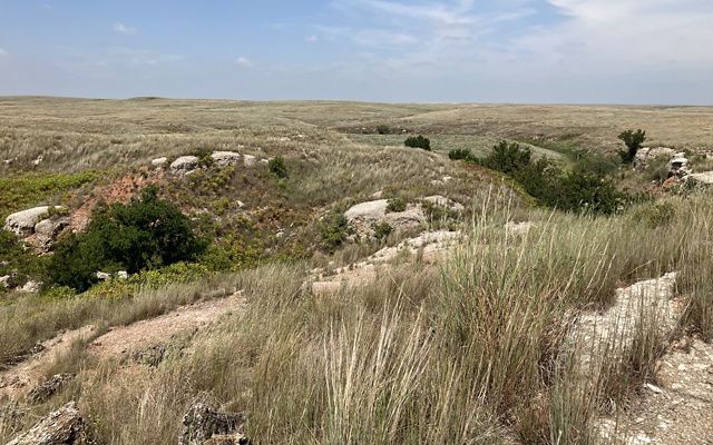 Rocky outcrops and native grasses framed against a bright blue sky.