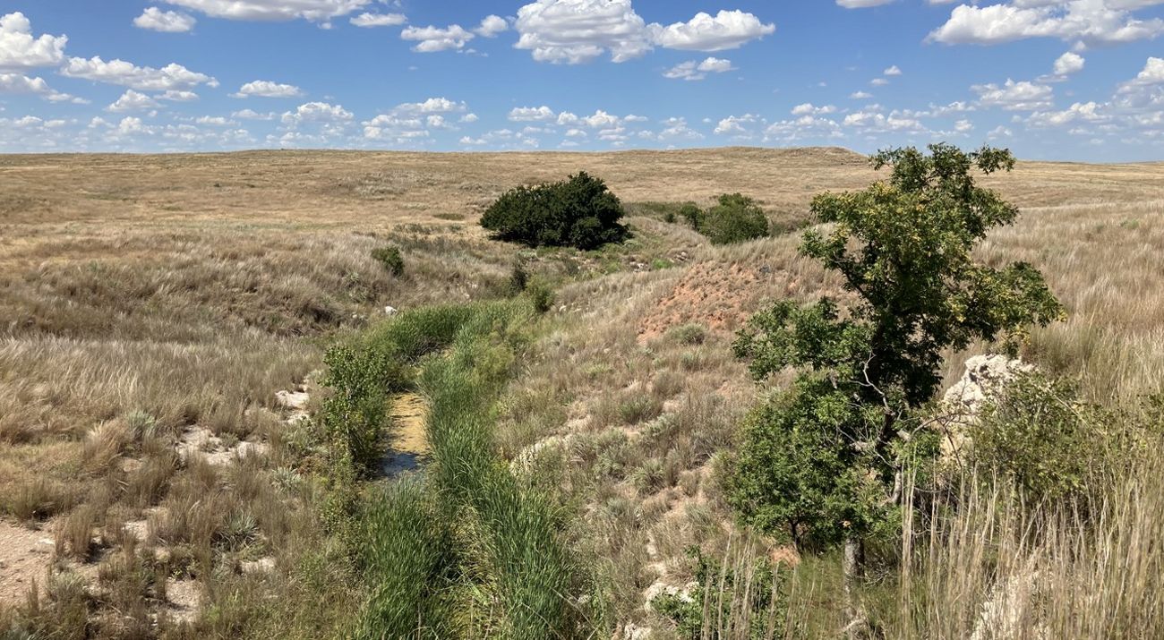 A creek winds across rolling hills, dotted by trees. A blue sky can be seen in the distance.