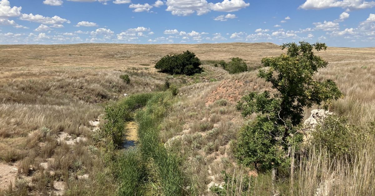 Introducing Sand Creek Ranch