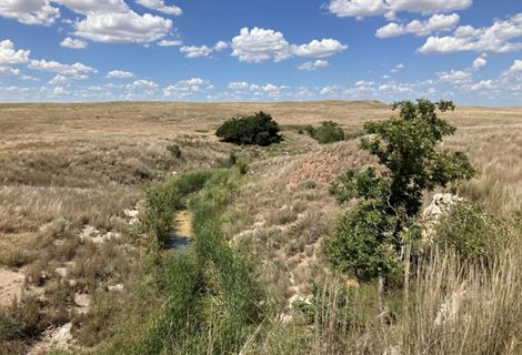 A creek winds across rolling hills, dotted by trees. A blue sky can be seen in the distance.