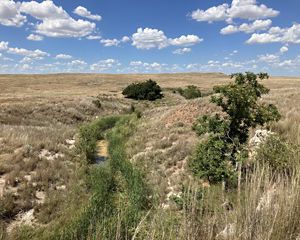 A creek winds across rolling hills, dotted by trees. A blue sky can be seen in the distance.