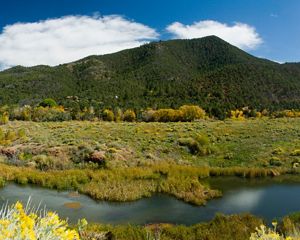 A green landscape with a pond or stream in the foreground and hills in the background.