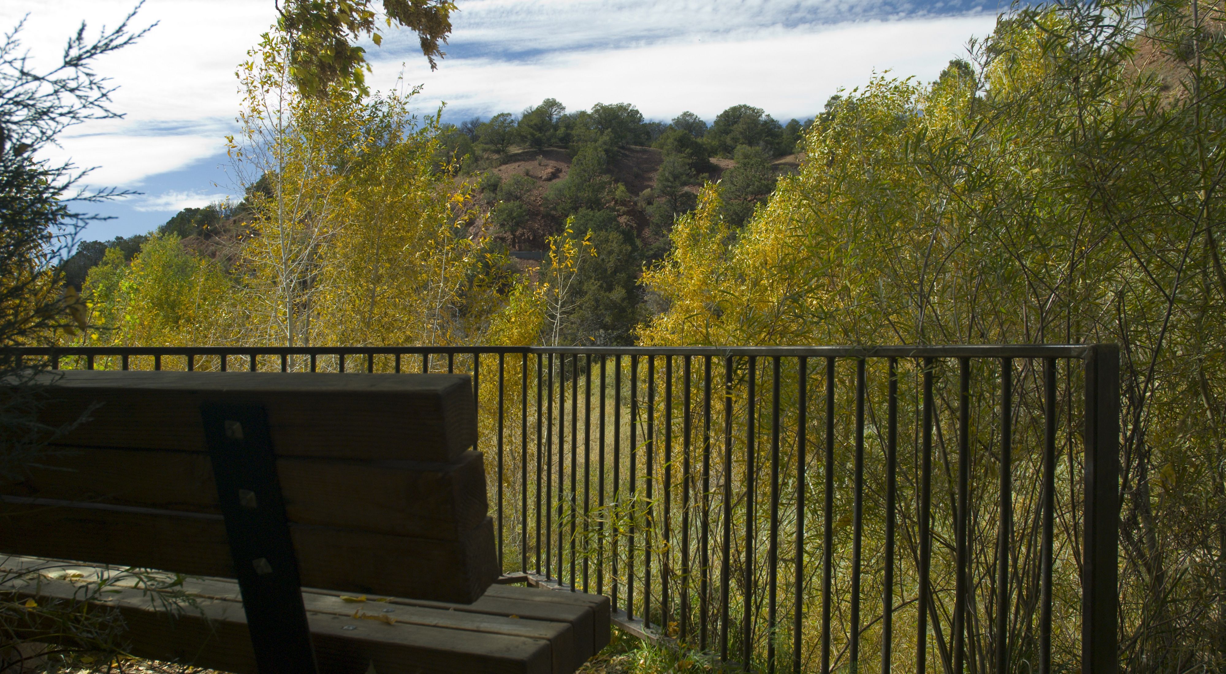 Wooden bench next to iron fence overlooking tree-lined Santa Fe Canyon Preserve.