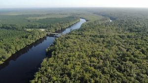 A wide dark river flows under a bridge and toward a distant ocean.