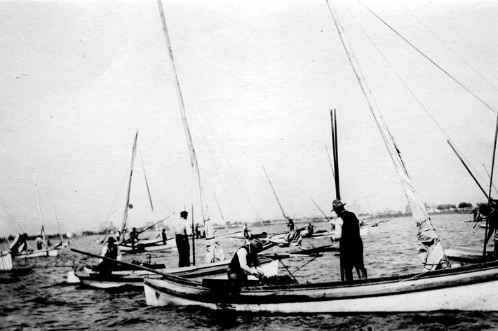 Black and white historical photo showing long, low slung canoe shaped boats gathered closely together. Men standing in the boats use long tongs to harvest oysters.