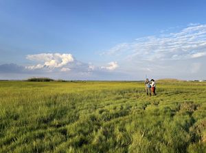 Two people standing in a marsh with scientific equipment. 