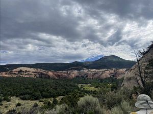 Thick green trees grow in a valley ringed by towering sandstone mesas.