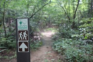 A brown hiking trail marker designates a dirt path as part of the Palmetto Trail.