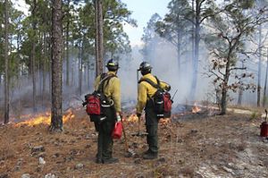 Two prescribed fire professionals plan a controlled burn.