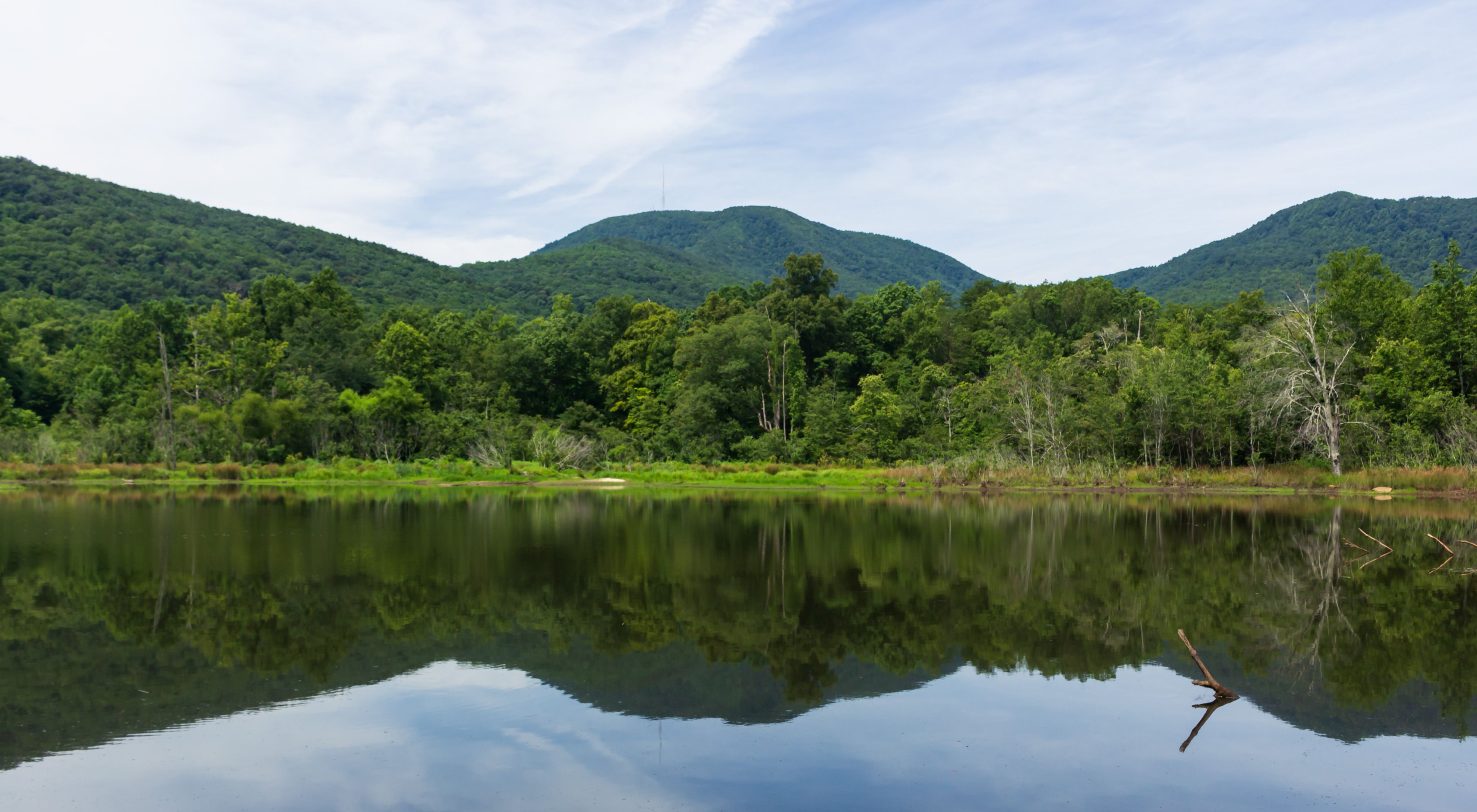View of a wide body of water with trees lining its shore and mountains in the background.
