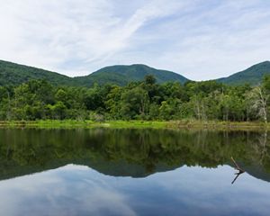View of a wide body of water with trees lining its shore and mountains in the background.