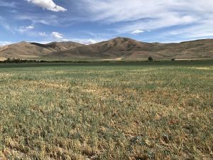 Silver Creek Farm Receives First TroutSafe Certification TNC