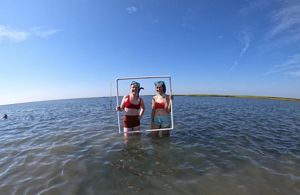 Two women stand in water holding a quadrat in from of them.