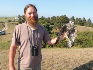 A man holds a peregrine falcon in his hand