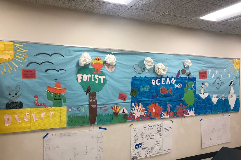  Hecho en cartulina de colores, un gran diagrama en una pared de un aula muestra un desierto, un bosque, un océano y una tundra, junto con información sobre procesos de química orgánica.