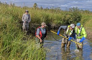 People work in a wetland studying the soil and water. 