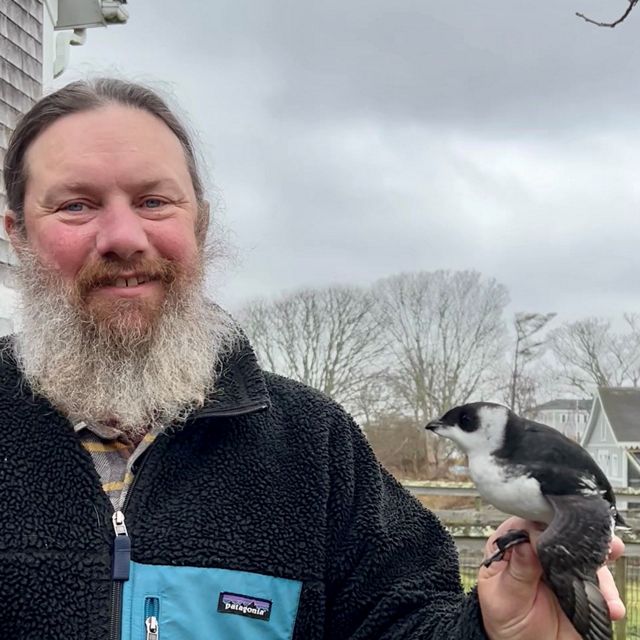 Scott Comings holds a small black-and-white seabird in his left hand.