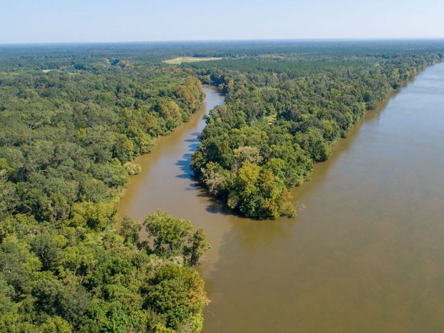 The confluence of the Alabama River.