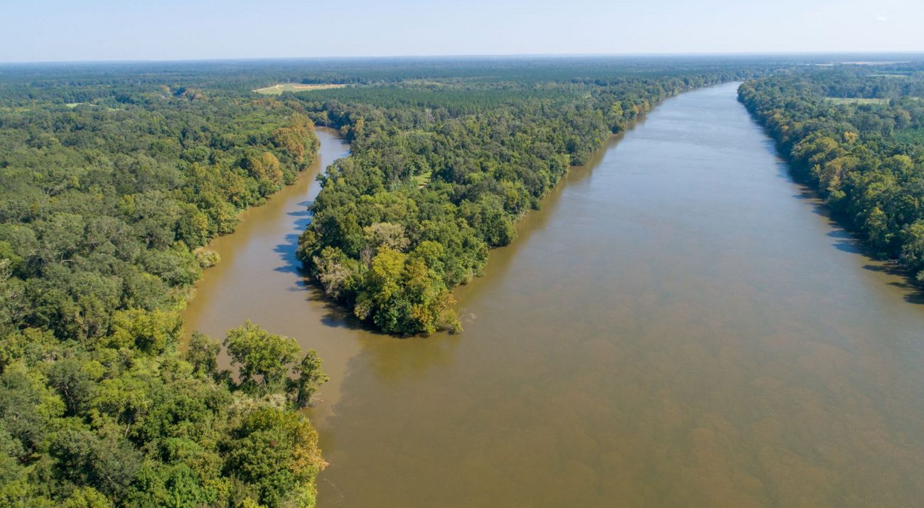 An aerial view of two rivers meeting with forested land all around.