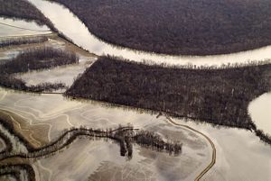 Aerial view of flooded farmland and a river next to forests.