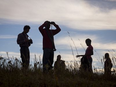 A group of people with binoculars looking around the dusky prairie.