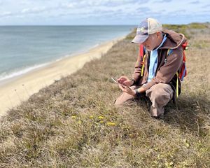 Rich Couse, a seasonal stewardship staff member, kneels on a grassy dune along a beach.
