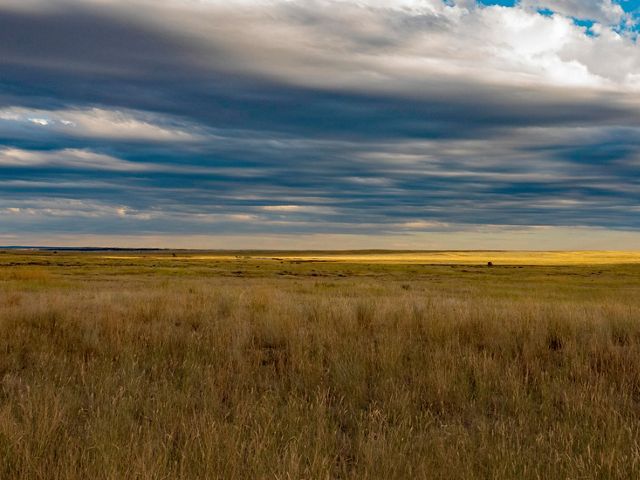 Great Plains  The Nature Conservancy