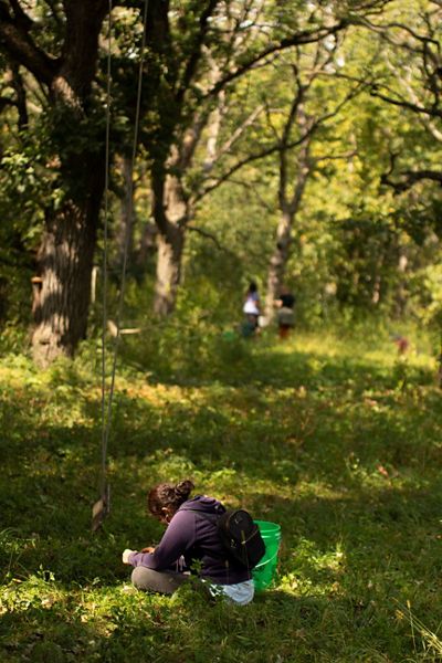 A person sits on the ground collecting seeds.