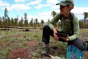 scientist working on seed reforestation