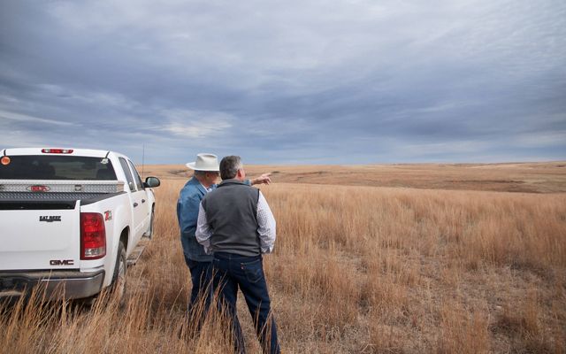 Two men looking out over the rolling hills of a longhorn cattle ranch.
