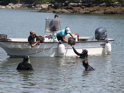 People in a boat hand shellfish crates down to people in wetsuits in the water.