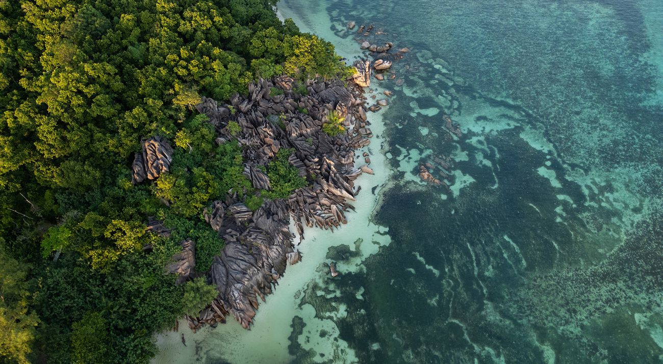 Aerial view looking down at a rocky coast of an ocean, with dense green forest on the land.