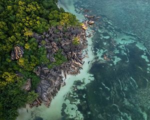 Aerial view looking down at a rocky coast of an ocean, with dense green forest on the land.