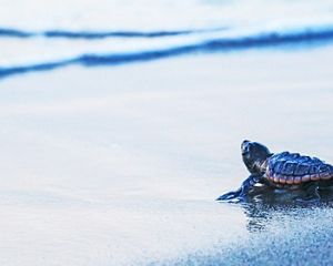 Farmer harvesting crops