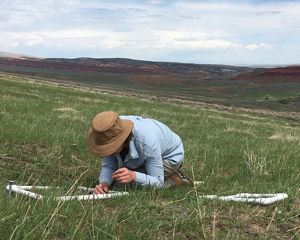 Person in a field, kneeling over a square frame made of PVC pipe and studying grasses.