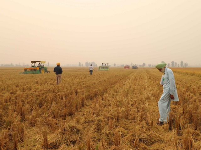 Farmers walk along crops while the sky is blanketed by opaque smog.