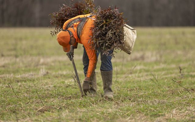 a person in orange digging in a field.