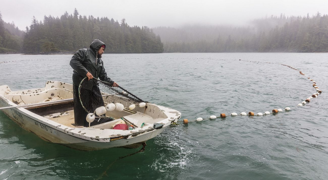 A man on a small boat beach seine fishing for salmon.