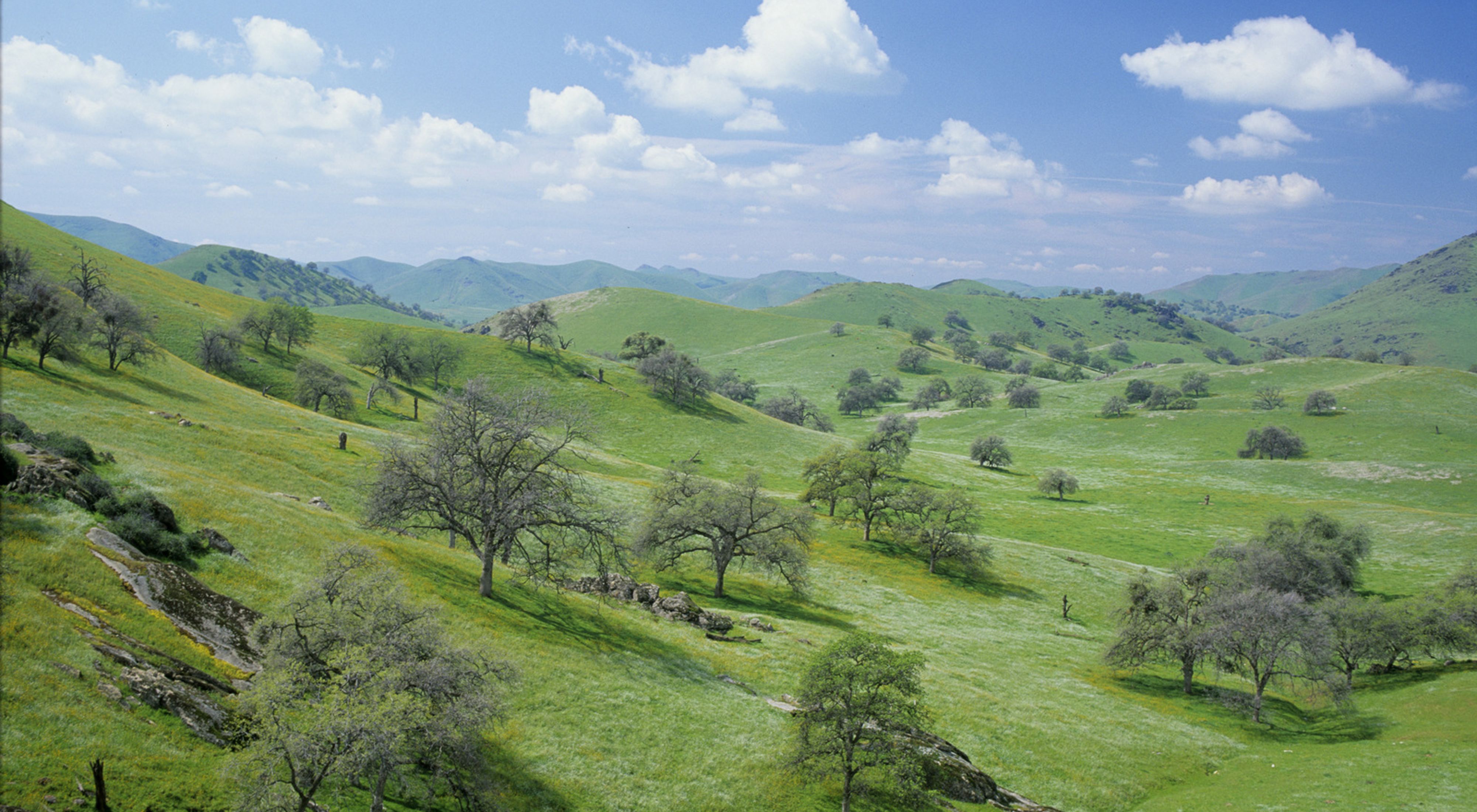 Lush view of Yokohl Valley, CA, part of the Sequoia Foothills Project