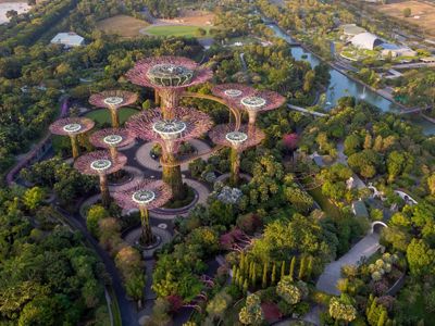 Drone shot of Gardens By The Bay in Singapore.