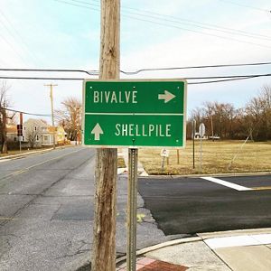 Road signage that reads "Bivalve" and "Shellfish"