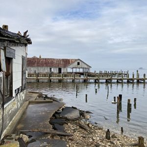 A pier on an oyster farm that has sustained storm damage.