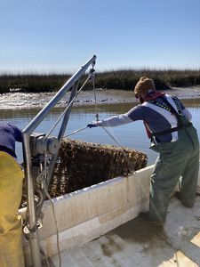 Men on a boat pulling oyster cages out of the water.