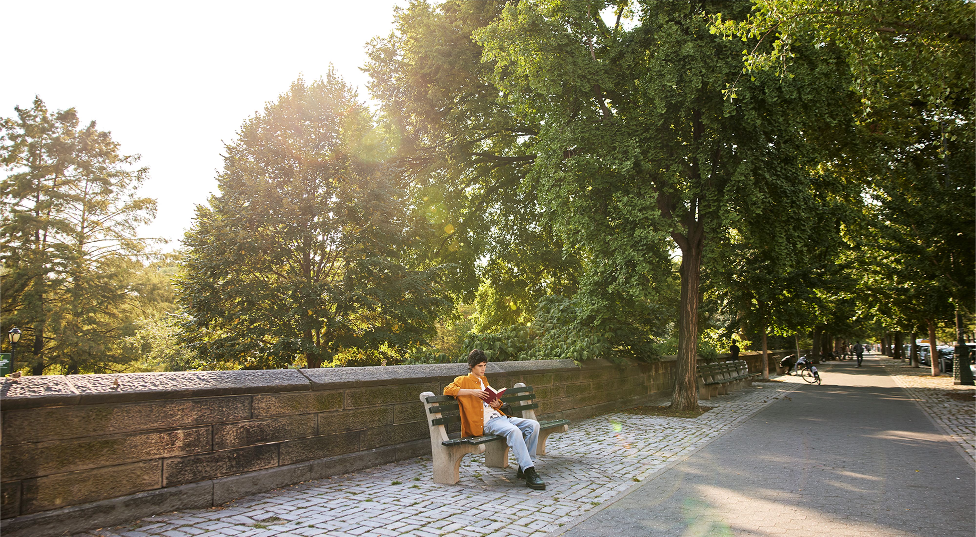 A person sitting on a bench reading a book with trees in the background.