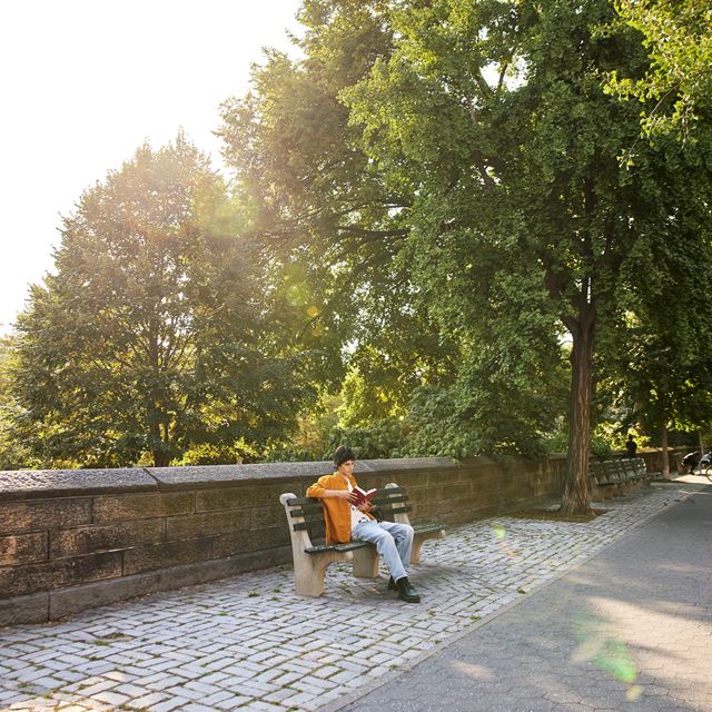 A person sitting on a bench reading a book with trees in the background.