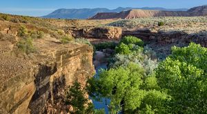 Aerial view of a canyon carved by deep blue water. 